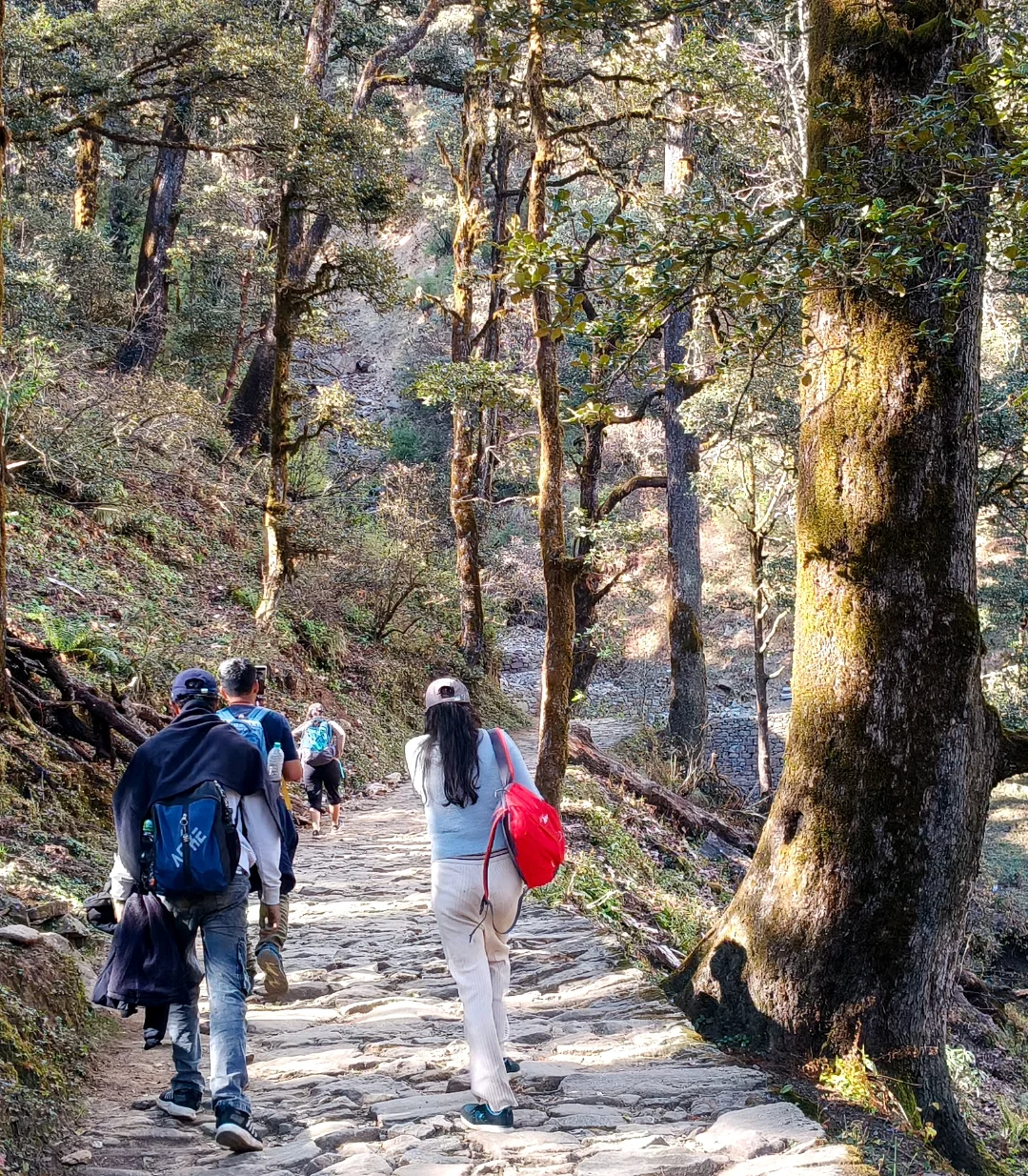 madhmaheshwar tour package